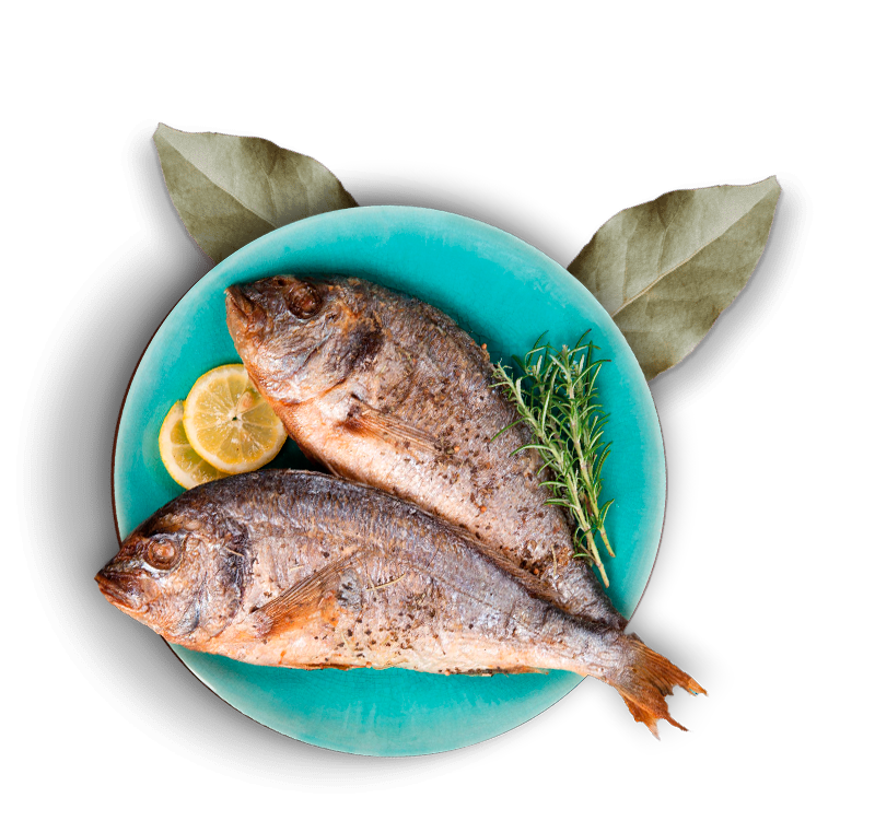 restaurante-image